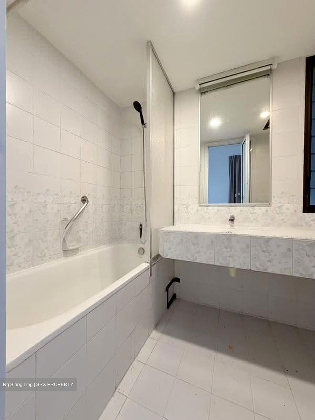 Mandarin Gardens (D15), Condominium #612989841